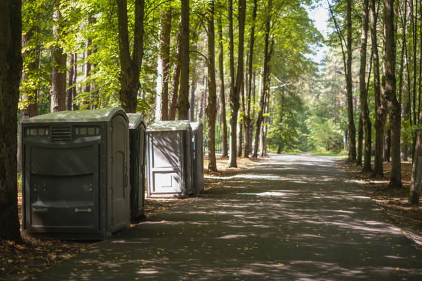Best Porta potty rental for festivals  in Brentwood, MO